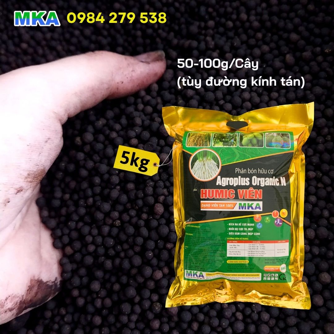 Kỹ thuật chăm sóc sầu riêng mùa mưa